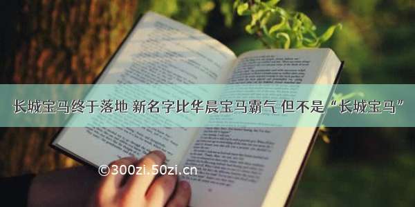 长城宝马终于落地 新名字比华晨宝马霸气 但不是“长城宝马”