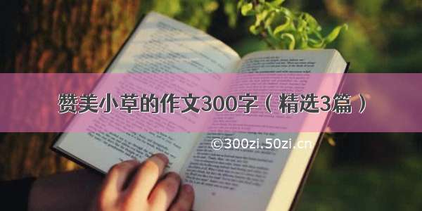 赞美小草的作文300字（精选3篇）