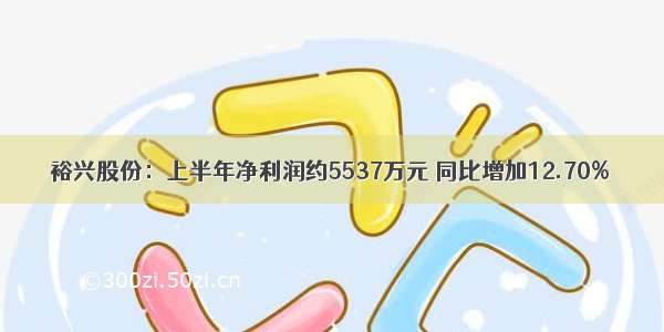 裕兴股份：上半年净利润约5537万元 同比增加12.70%