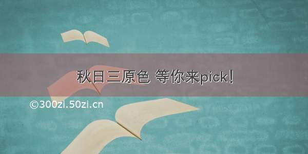 秋日三原色 等你来pick！