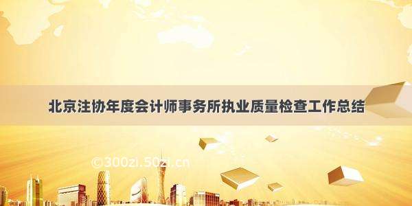 北京注协年度会计师事务所执业质量检查工作总结