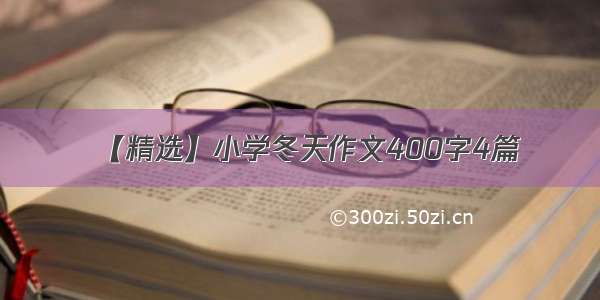 【精选】小学冬天作文400字4篇