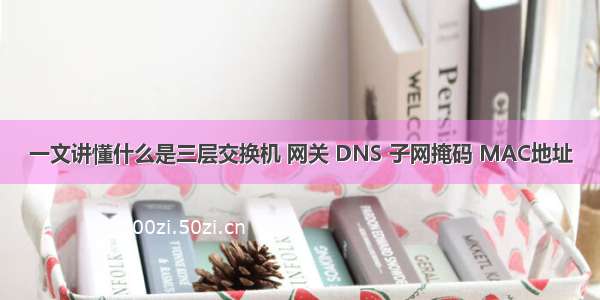 一文讲懂什么是三层交换机 网关 DNS 子网掩码 MAC地址