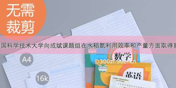 PBJ | 中国科学技术大学向成斌课题组在水稻氮利用效率和产量方面取得重要进展