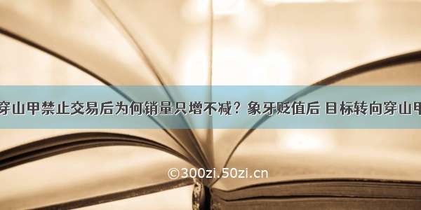 穿山甲禁止交易后为何销量只增不减？象牙贬值后 目标转向穿山甲