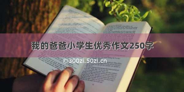 我的爸爸小学生优秀作文250字