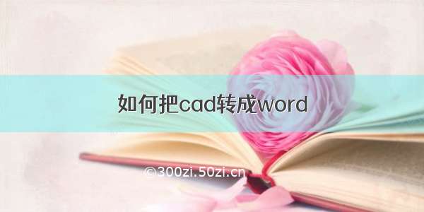 如何把cad转成word