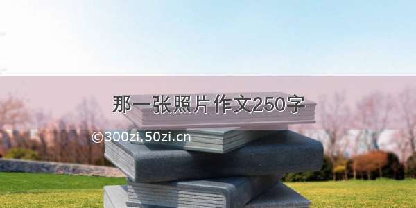 那一张照片作文250字