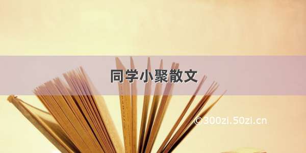 同学小聚散文