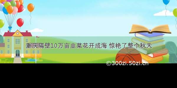 重庆隔壁10万亩韭菜花开成海 惊艳了整个秋天