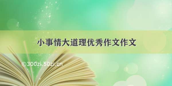 小事情大道理优秀作文作文