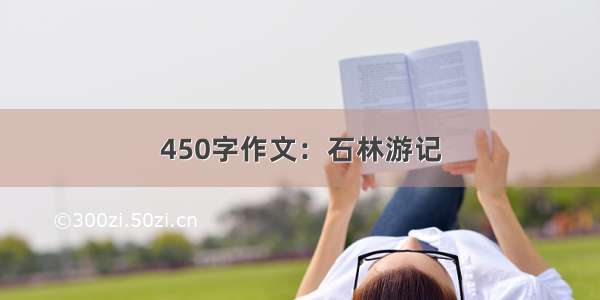 450字作文：石林游记