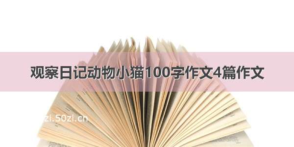 观察日记动物小猫100字作文4篇作文