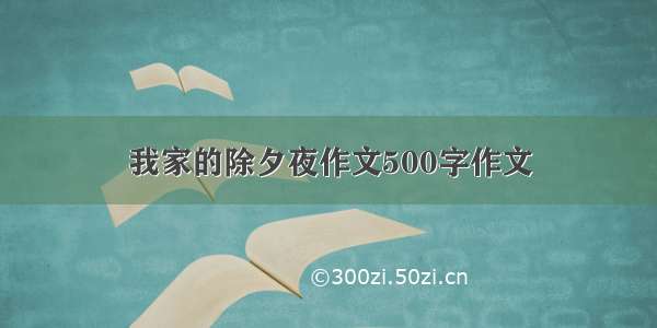 我家的除夕夜作文500字作文