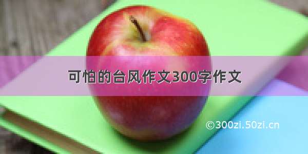 可怕的台风作文300字作文