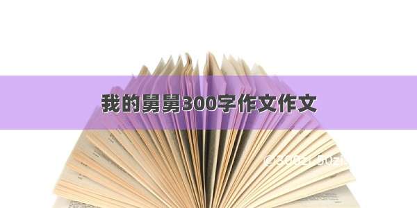 我的舅舅300字作文作文