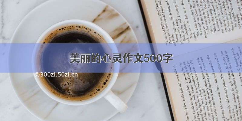 美丽的心灵作文500字