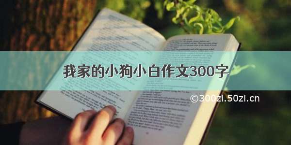 我家的小狗小白作文300字