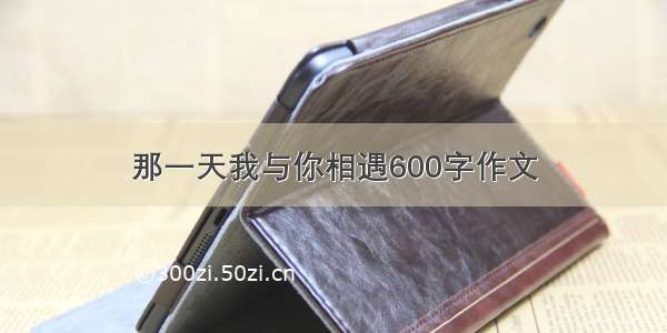 那一天我与你相遇600字作文