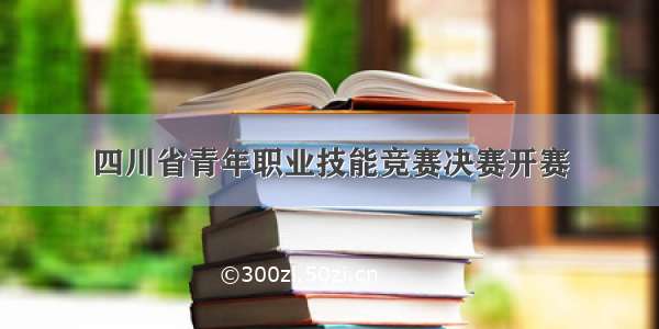 四川省青年职业技能竞赛决赛开赛