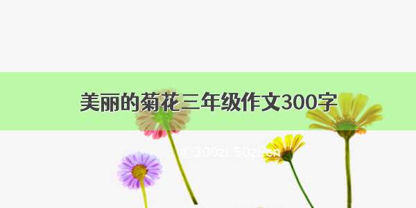 美丽的菊花三年级作文300字