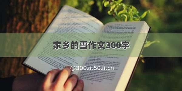 家乡的雪作文300字