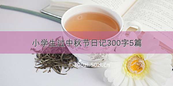 小学生过中秋节日记300字5篇