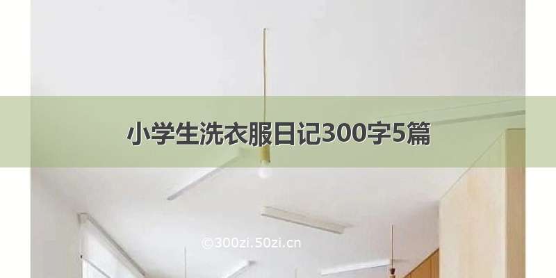 小学生洗衣服日记300字5篇