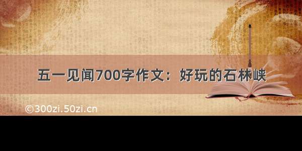 五一见闻700字作文：好玩的石林峡