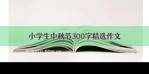 小学生中秋节300字精选作文