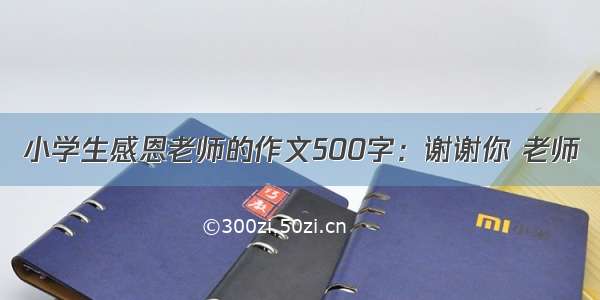 小学生感恩老师的作文500字：谢谢你 老师