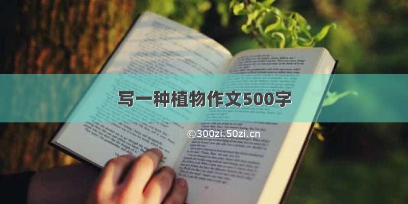 写一种植物作文500字