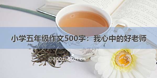 小学五年级作文500字：我心中的好老师