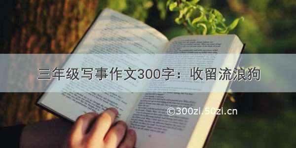 三年级写事作文300字：收留流浪狗