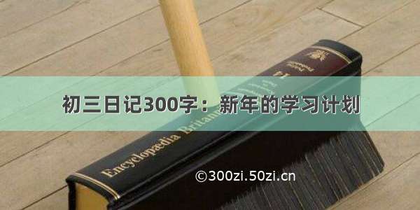 初三日记300字：新年的学习计划