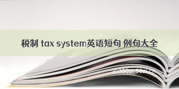 税制 tax system英语短句 例句大全