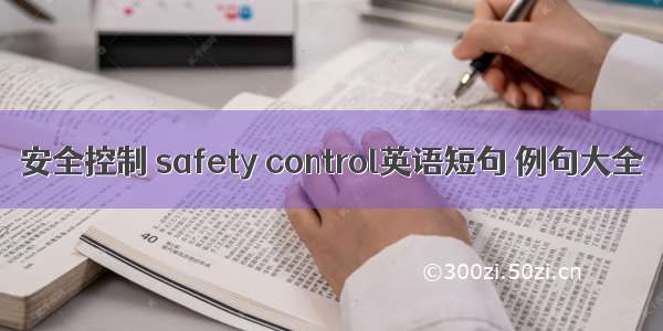 安全控制 safety control英语短句 例句大全