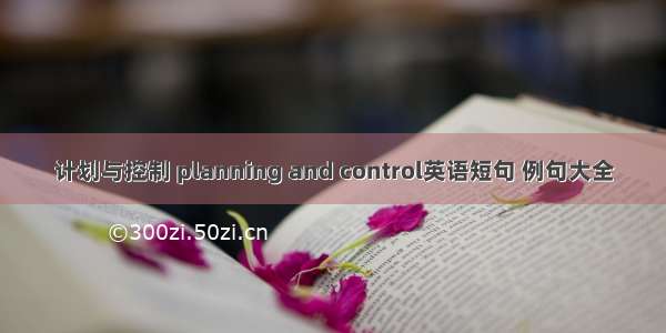 计划与控制 planning and control英语短句 例句大全