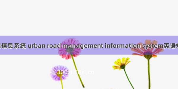 城市道路管理信息系统 urban road management information system英语短句 例句大全