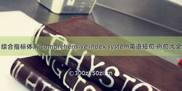 综合指标体系 comprehensive index system英语短句 例句大全