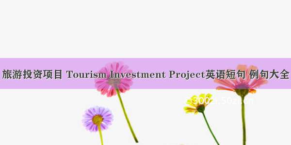 旅游投资项目 Tourism Investment Project英语短句 例句大全