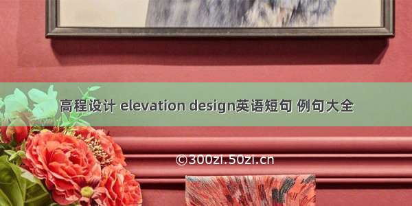 高程设计 elevation design英语短句 例句大全