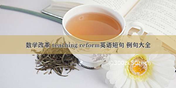 数学改革 teaching reform英语短句 例句大全