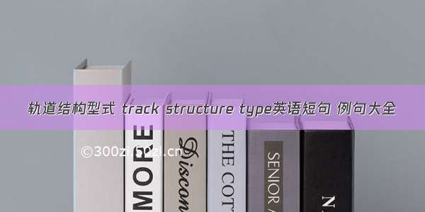 轨道结构型式 track structure type英语短句 例句大全