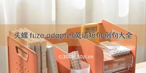 头螺 fuze adapter英语短句 例句大全