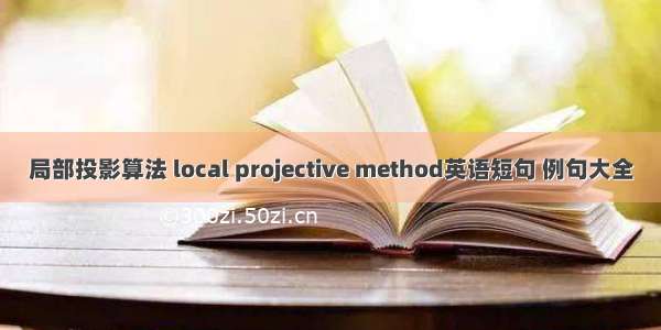局部投影算法 local projective method英语短句 例句大全