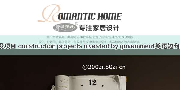 政府投资建设项目 construction projects invested by government英语短句 例句大全