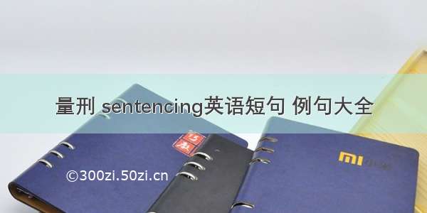 量刑 sentencing英语短句 例句大全