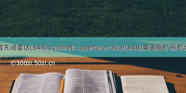 合成孔径雷达(SAR) synthetic aperture radar(SAR)英语短句 例句大全