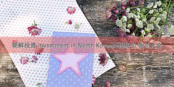 朝鲜投资 Investment in North Korea英语短句 例句大全